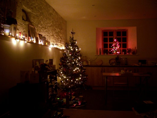 Photo of my Christmas decorations in 2005